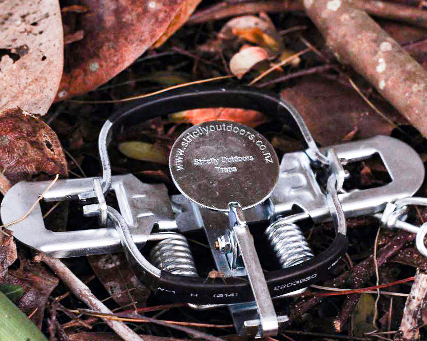Galvanised Rubber Possum Leg Hold Trap - Strictly Outdoors